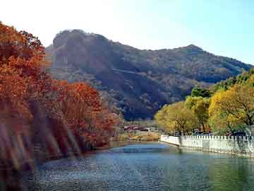 郎岱机场最新动态