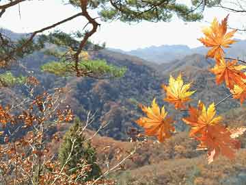 2017龙川最新车祸